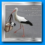 [zum Vergr��ern anklicken]
